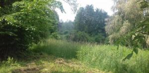 Terrain de loisirs 8200 m² Terrain de loisirs 8200 m²